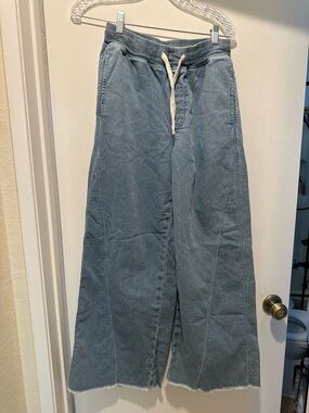 aerie Soft Landing Trouser Light Blue Wide-Leg Drawstring Pants Size Small